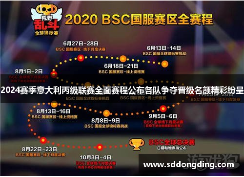 2024赛季意大利丙级联赛全面赛程公布各队争夺晋级名额精彩纷呈