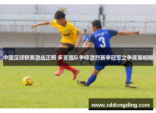 中国足球联赛激战正酣 多支强队争锋激烈赛季冠军之争逐渐明朗