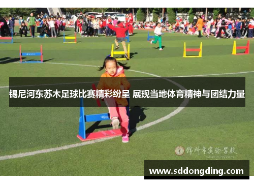 锡尼河东苏木足球比赛精彩纷呈 展现当地体育精神与团结力量