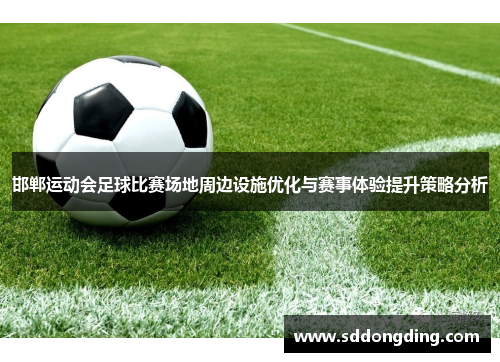 邯郸运动会足球比赛场地周边设施优化与赛事体验提升策略分析