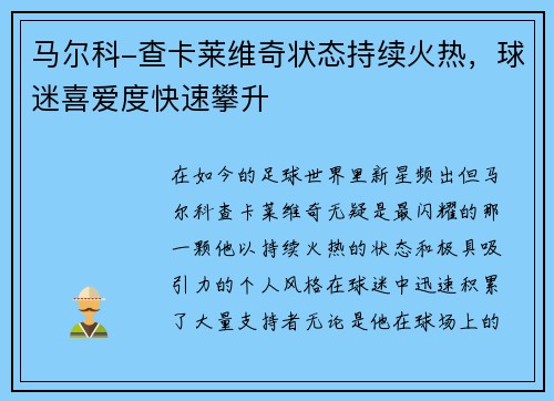 马尔科-查卡莱维奇状态持续火热，球迷喜爱度快速攀升